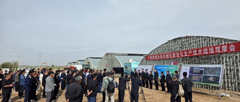 从“会种”到“慧种” 永昌观摩会展示干制辣椒全产业链数智化解决方案